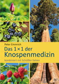 Das 1x1 der Knospenmedizin kombiniert mit Schüßler-Salzen